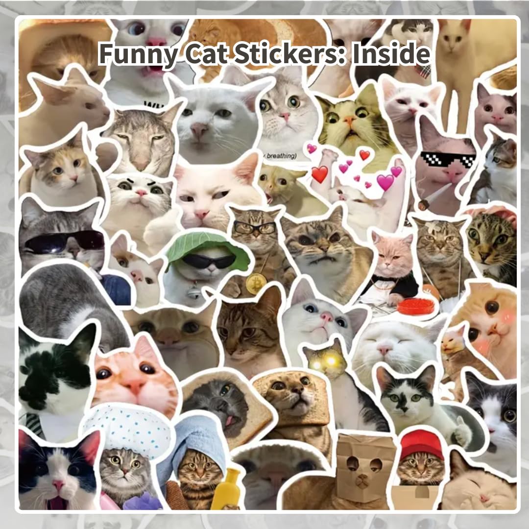 Funny Cat Stickers – 50 Waterproof Vinyl Decals