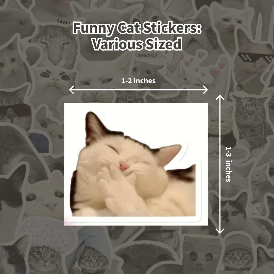 Funny Cat Stickers – 50 Waterproof Vinyl Decals