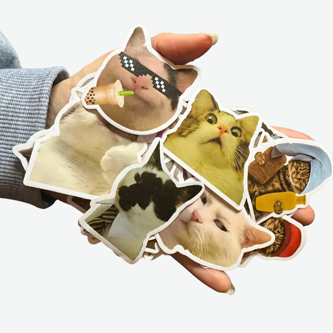 Funny Cat Stickers – 50 Waterproof Vinyl Decals