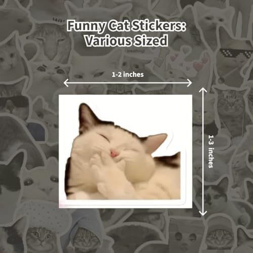 Mazo Moon 50 x Funny Cat Stickers