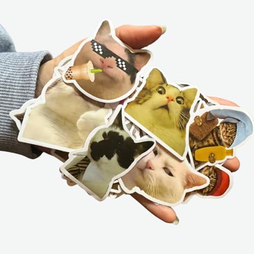 Mazo Moon 50 x Funny Cat Stickers